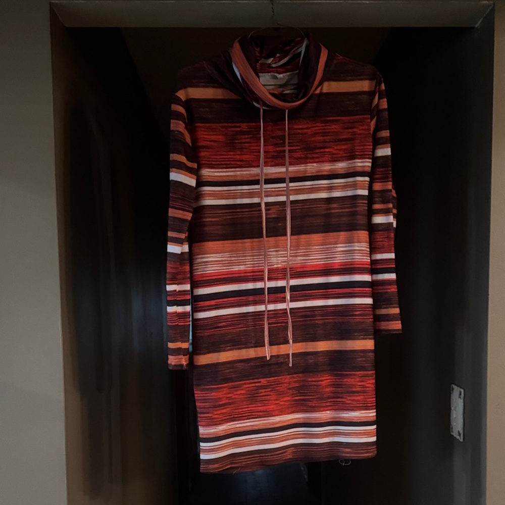 Striped Multicolor Turtleneck Dress